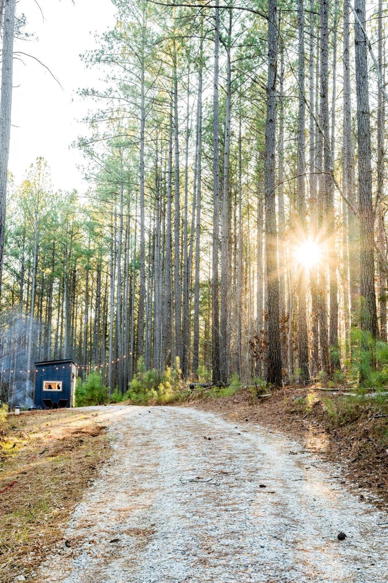 Pine Creek Tiny House Villa Amherst Dış mekan fotoğraf
